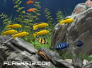 Hidden Objects-Under Water 