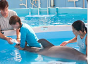 Hidden Numbers-Dolphin Tale