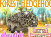 Awesome Hedgehog