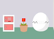Chicks