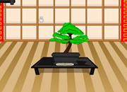  Hurry and Escape: The Dojo