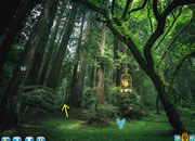 Escape from Dense Forest 