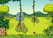 Reservoir Forest Escape