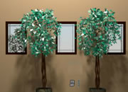 Ficus