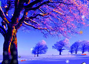Snow Escaping