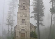 The Foggy Forest Escape