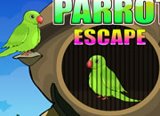 Parrot