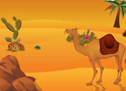 Sahara