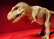 Dino Museum Escape 