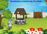 Squirrel Journey