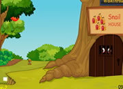 Snail House Escape