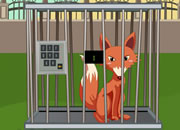 Zoo Escape-4