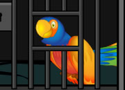 Parrot Escape 2