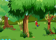 Red Parrot Escape