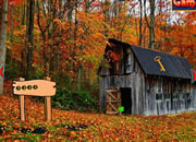 Attractive Forest Escape