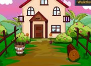 Colorful Garden Escape