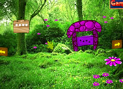 Plantation Forest Escape