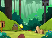Baffled Forest Escape