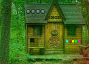 Mayans Dense Forest Escape