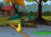 Crazy Duck Escape