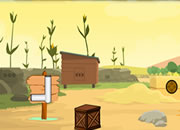 Outdoor Treasure Escape