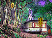 Abandoned Forest Escape
