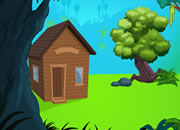 The Lovely Parrot Escape