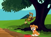 Escape from Forest Dog