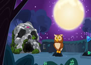 Monkey River Escape