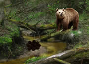 Return to Spring Forest 