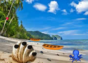 Sea Shore Escape 