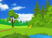 Meadow