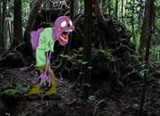 Escape from Japan Suicide Forest