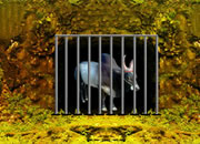 Bull Escape