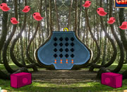 Mount Forest Escape