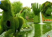 Montreal Botanical Escape