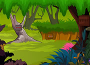 Bunny rescue from forest