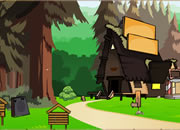 Forest Home Escape