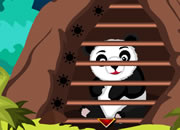 Forest Panda Rescue