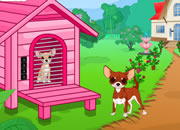 Chihuahua Lover Escape