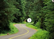 Escape From Olympic National Forest
