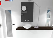Real World Escape 132 Bathroom