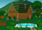 Wooden House Hen Escape