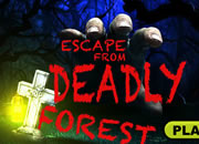 Escape From Deadly Forest