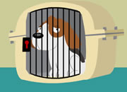 Free the Dogs Escape 2