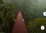 Escape From Monteverde Cloud Forest Reserve