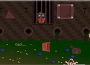 Drainage Owl Escape