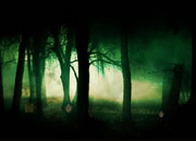 Alien Forest Escape