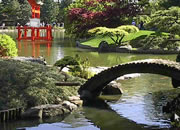 Wonderful Botanical Escape