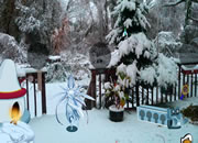 First Snow Escape